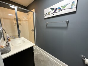 Combined shower/tub, hair dryer, towels - NC STATE, Cameron Village-Wake Med-dogs ok-fenced (Raleigh)