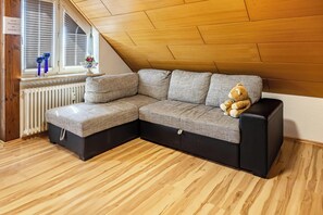 Fernseher