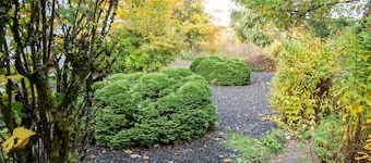 'Villa Nordhang - Apartment 3' with Mountain View, Terrace & Wi-Fi