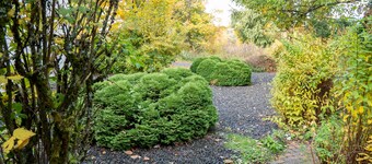 'Villa Nordhang - Apartment 7' with Mountain View, Balcony & Wi-Fi