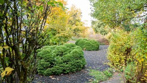 Un jardín con sendero de grava, follaje denso y árboles con hojas otoñales.