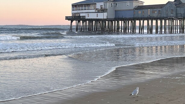 A beach with a pier extending into the ocean, a building on stilts, and a seagull on the sand. - Beach House ∆ Prime Location ∆ Steps to the Ocean (Old Orchard Beach)