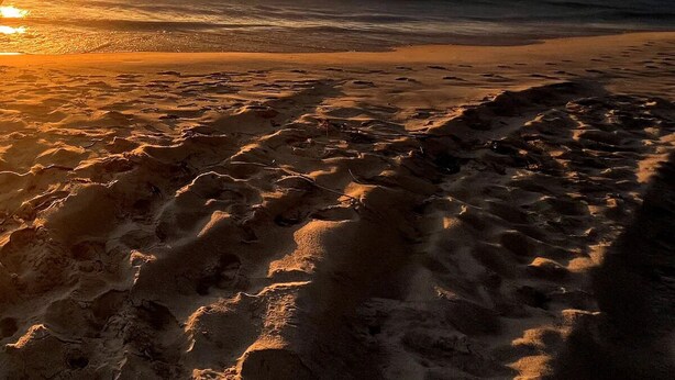 Una playa con huellas que conducen al agua, una puesta de sol al fondo y un cielo nublado.
