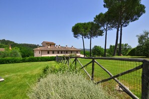 Property grounds - Francigena 4, Castelfiorentino, Italy (Castelfiorentino)