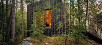 Black Spruce - Green Door 