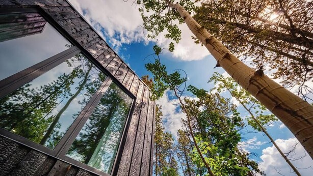 Un bâtiment moderne doté de grandes fenêtres et offrant une vue sur de grands arbres.