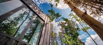 Black Spruce - Green Door 