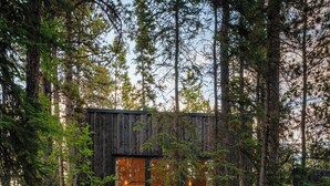 Une cabane moderne nichée au cœur d’une forêt, dotée d’une grande fenêtre en verre et d’un luminaire circulaire.
