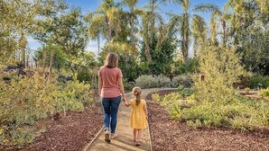 A pathway in a garden with various plants and trees.