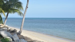 Una playa con agua azul cristalina, una orilla arenosa y palmeras.