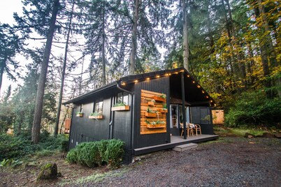 Cozy cabin romantic getaway in the Oregon woods near UO Spencers butte & Trails 