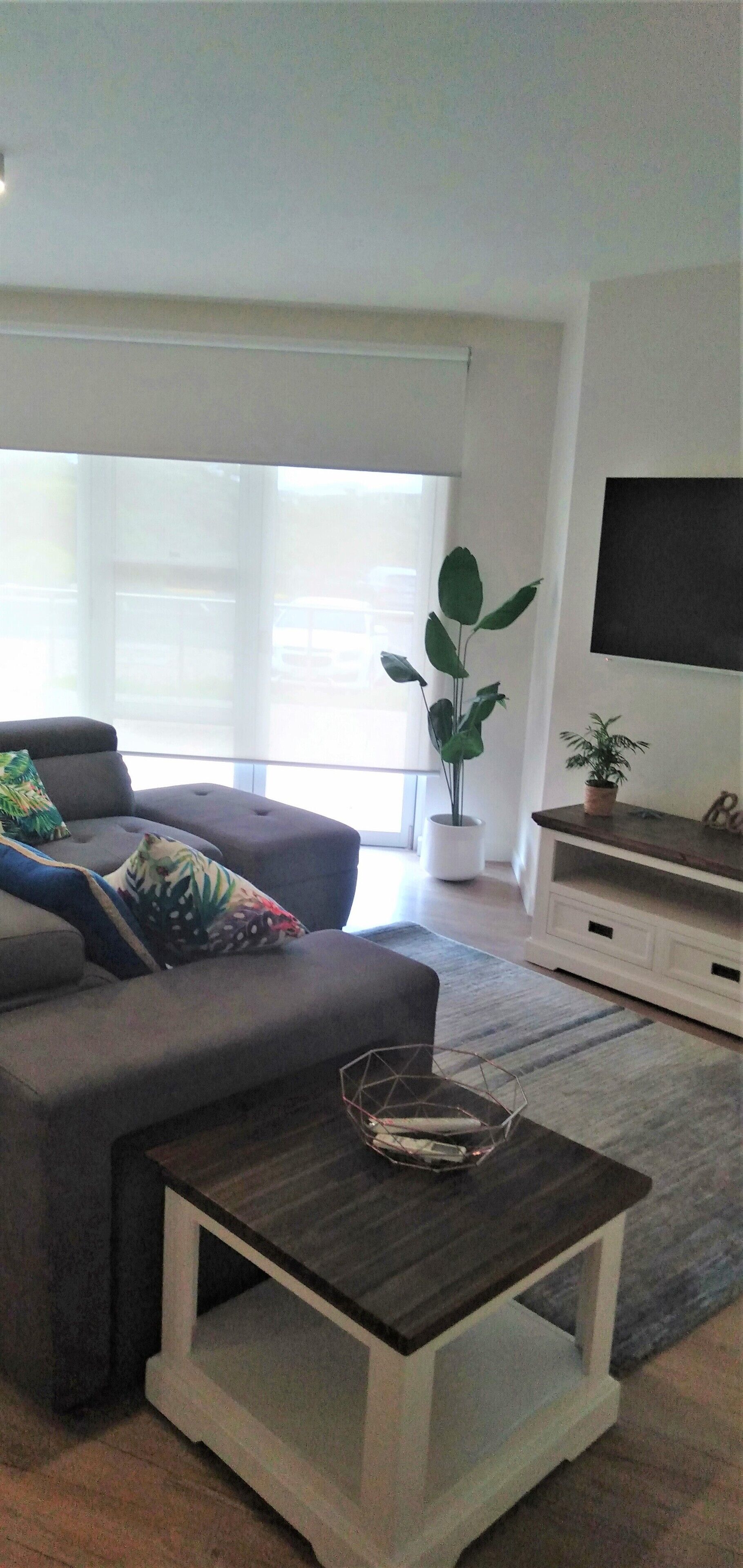 Una sala de estar moderna con un sofá gris, una mesa de centro, un televisor en la pared y una planta en maceta.