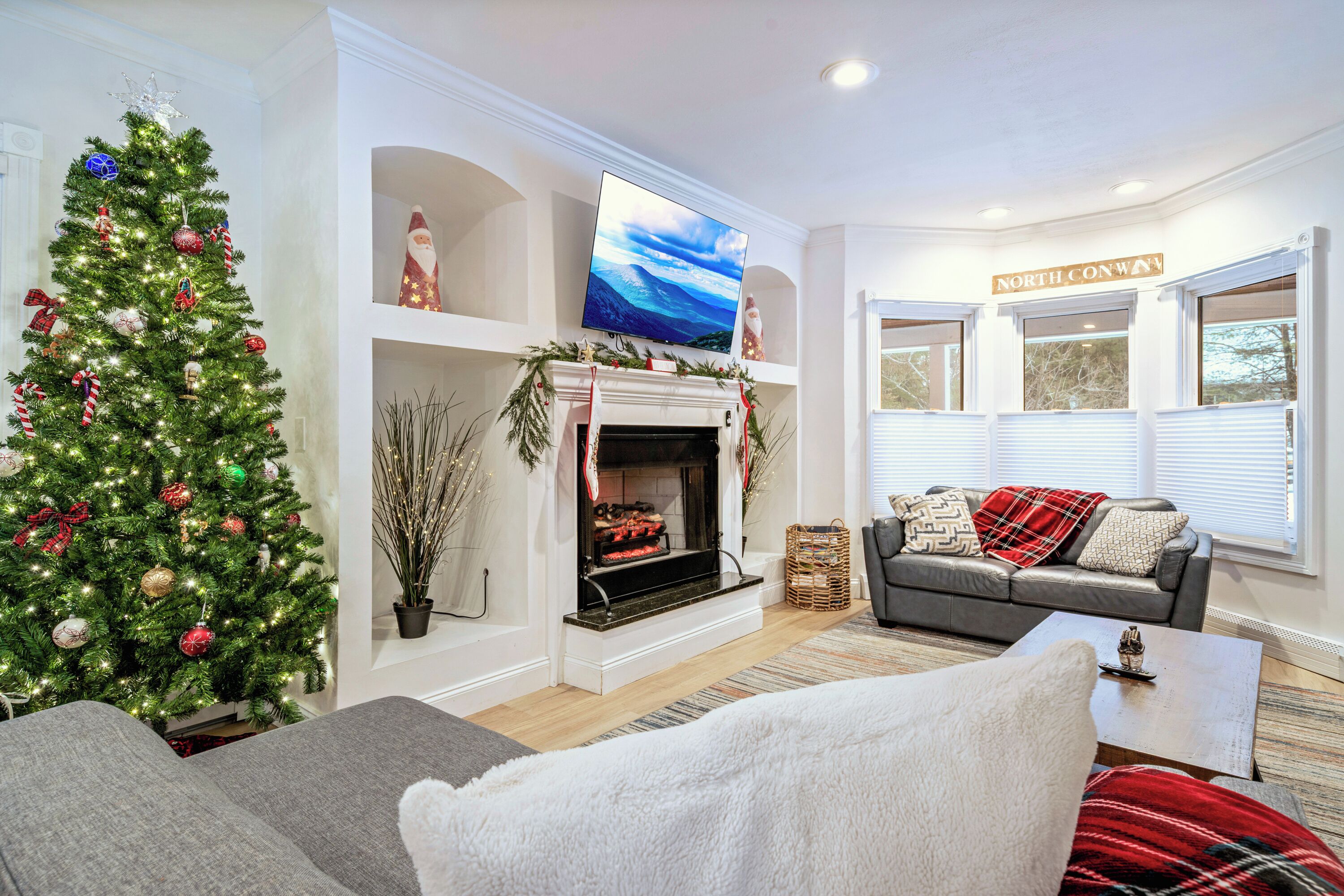 Smart TV, fireplace, video games, books