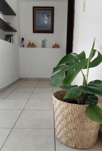 In the heart of Colima