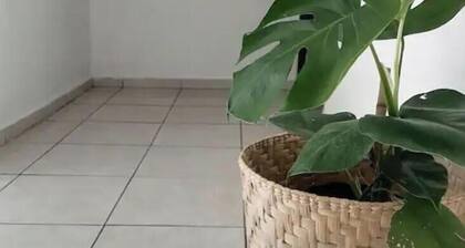 In the heart of Colima