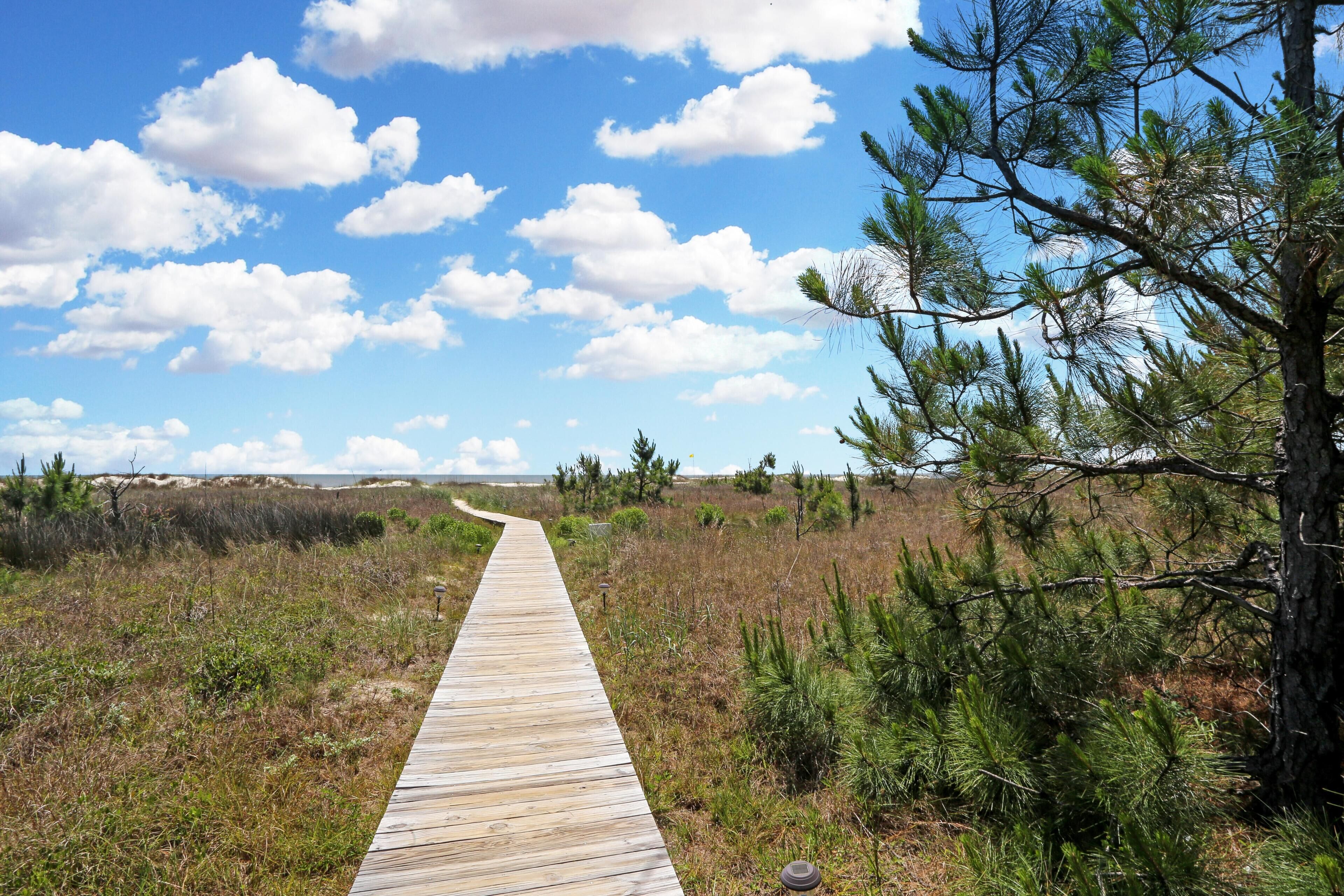 Een houten looppad door een natuurlandschap met pijnbomen en een heldere lucht.