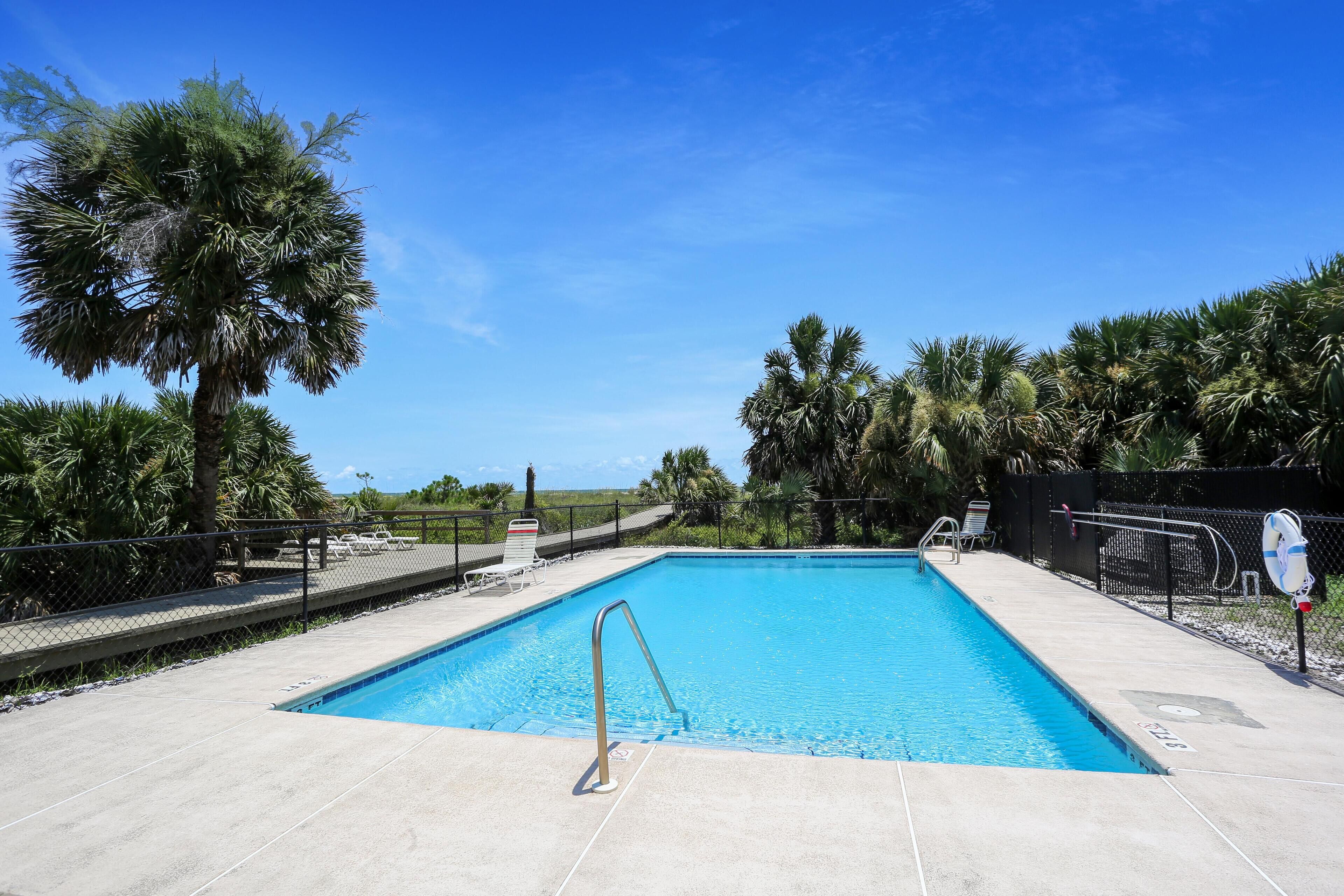 A rectangular swimming pool with a metal ladder, surrounded by palm trees and a fence.