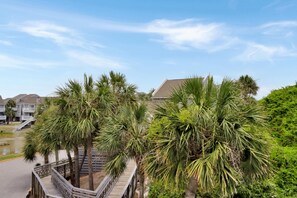 House, Multiple Beds (Barrier Dunes 215 ) | Property grounds - Barrier Dunes 215 - 32 (Port St. Joe)