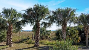 A paved walkway with palm trees and greenery. - Gulfside GEM (Port St. Joe)