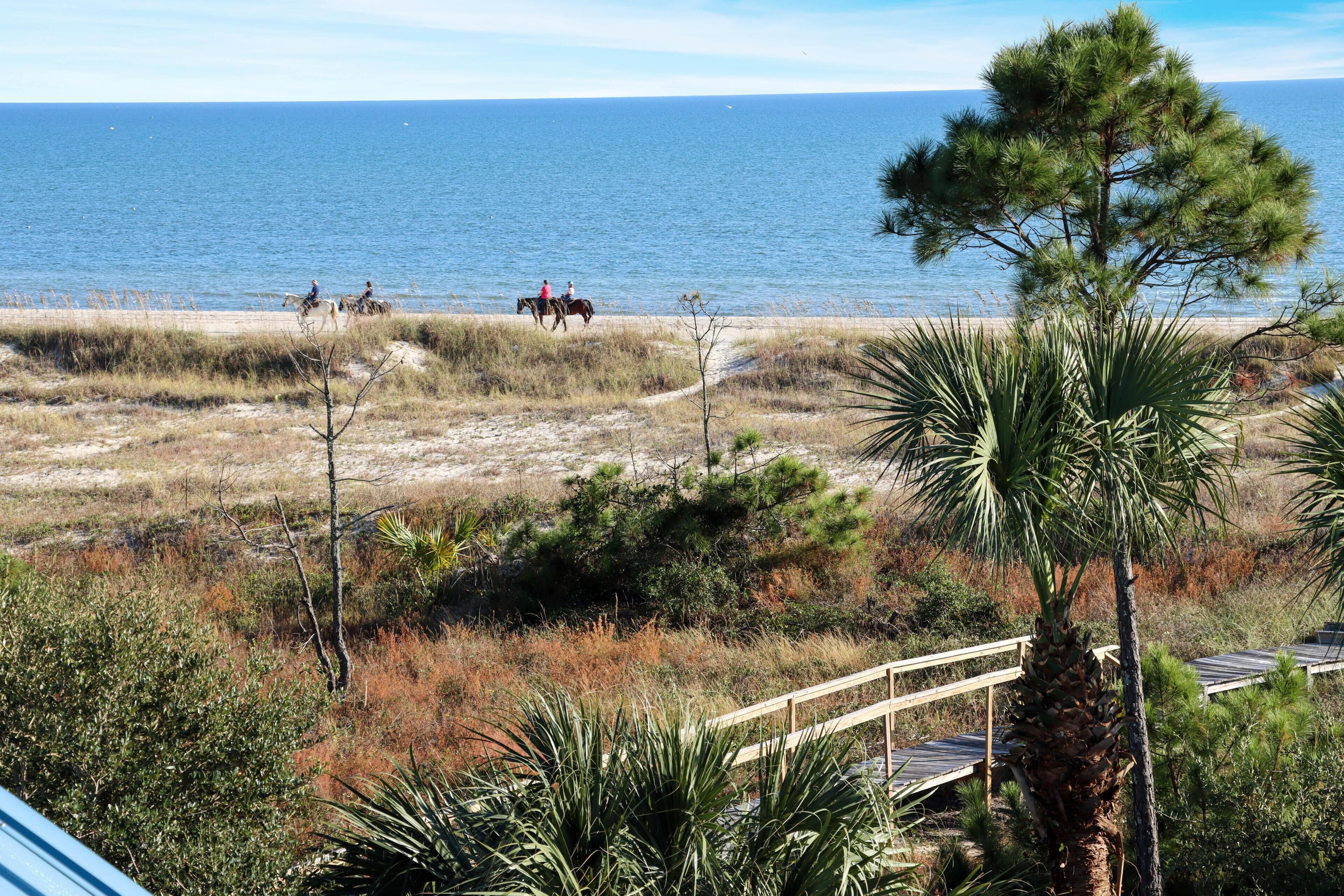 A beach with horse riders, a wooden bridge, and a palm tree.