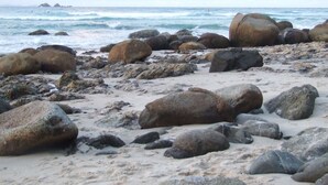A rocky beach with large boulders and waves in the background. - ~Exquisite Tiny House/Studio with Charm,Equipped Kitchen,Charming Outdoor Deck  (Alexandra Headland)