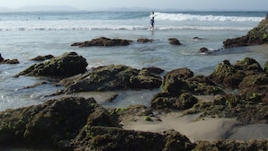 A rocky beach with waves, a child walking, and distant mountains. - ~Exquisite Tiny House/Studio with Charm,Equipped Kitchen,Charming Outdoor Deck  (Alexandra Headland)