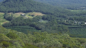 A mountainous landscape with a prominent peak, dense forest, and scattered buildings. - ~Exquisite Tiny House/Studio with Charm,Equipped Kitchen,Charming Outdoor Deck  (Alexandra Headland)