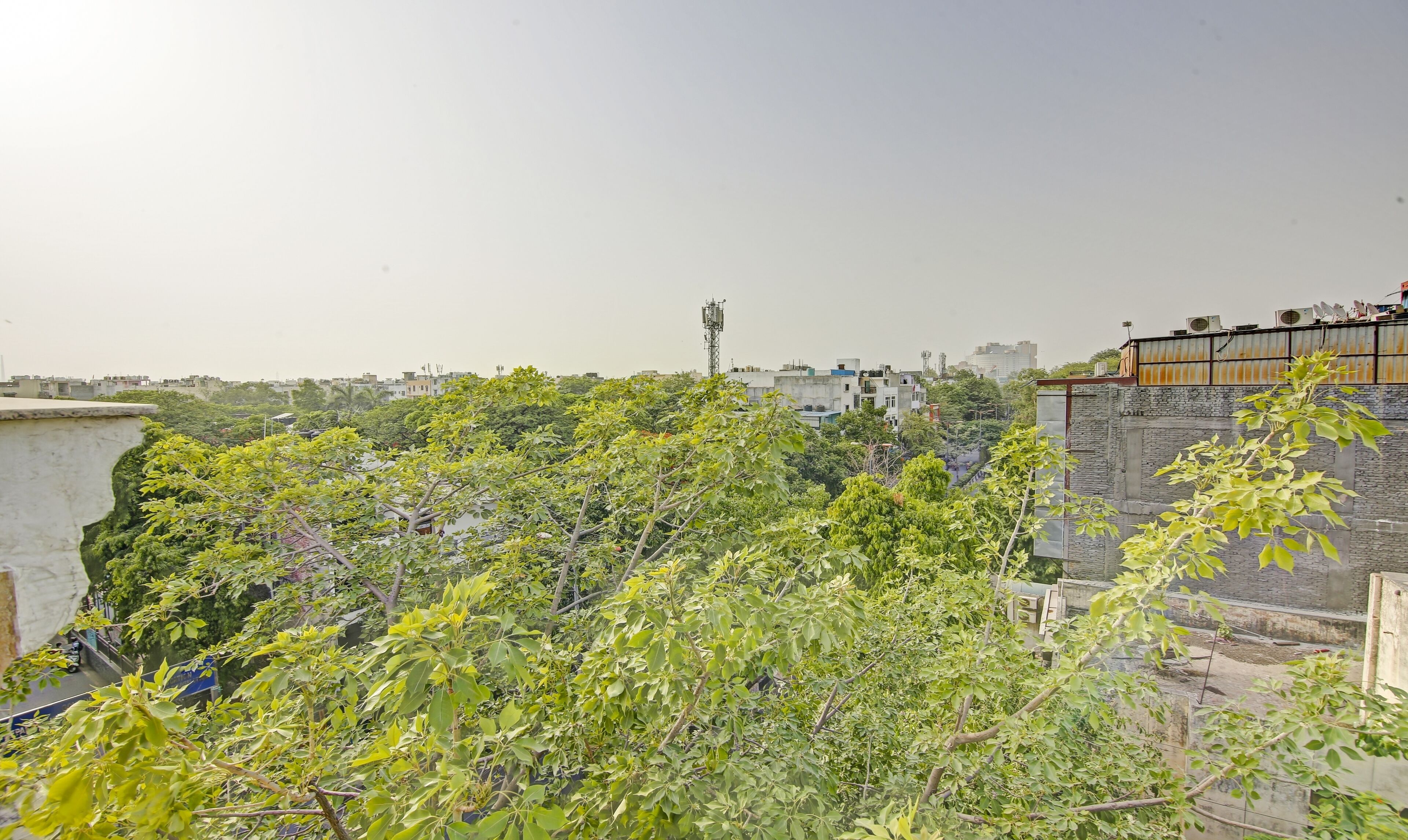 Foto - Treebo Mona Grand