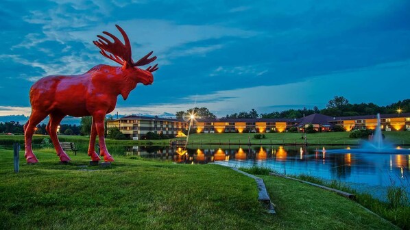 A large red moose statue in a grassy area with a pond and illuminated buildings in the background.