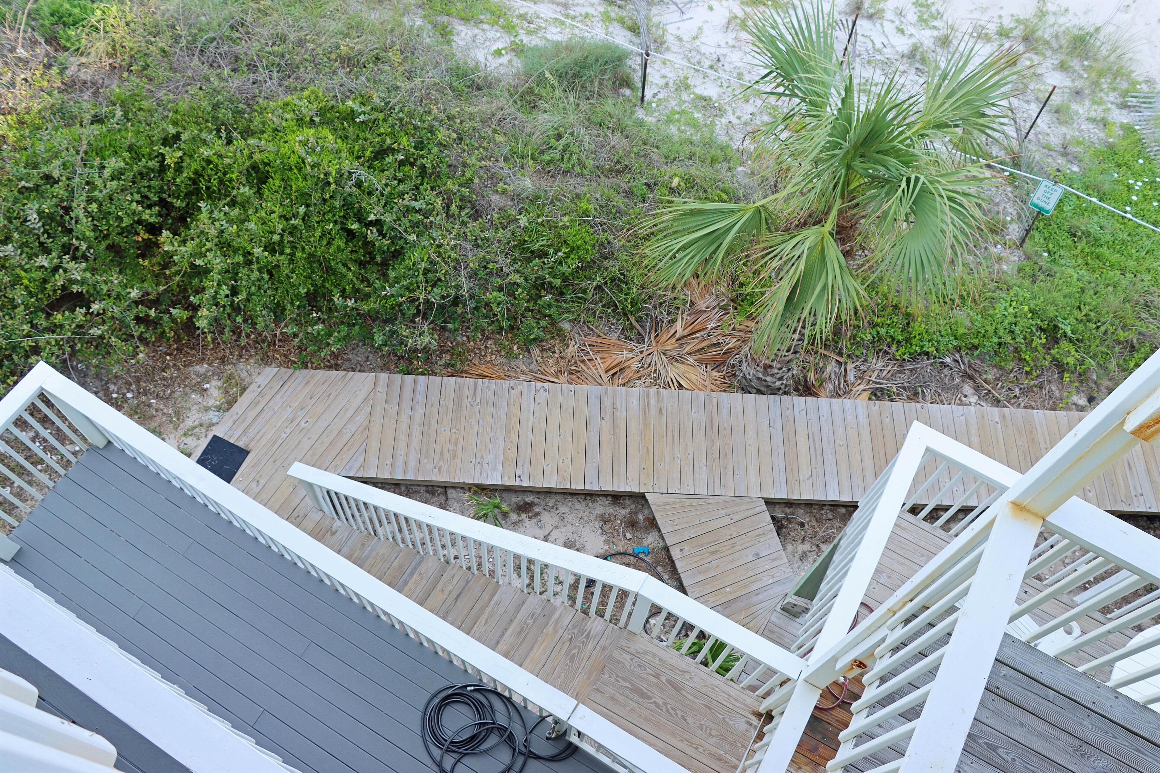 Una terraza de madera con barandilla blanca, rodeada de vegetación exuberante y una palmera.