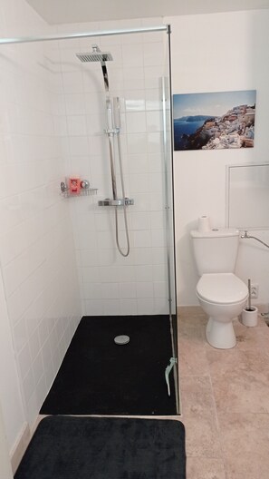 Regadera, toallas, jabón, papel de baño