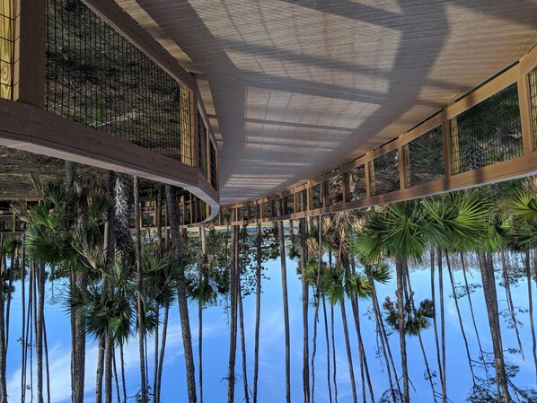 Casa, varias camas (Barrier Dunes 493  Flamingo Retreat) | Áreas de la propiedad