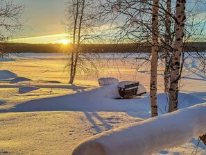 Un paysage enneigé avec un banc et des bouleaux.
