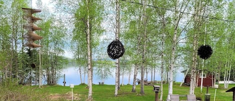 A lakeside property with birch trees, a wooden bench, and a gazebo.