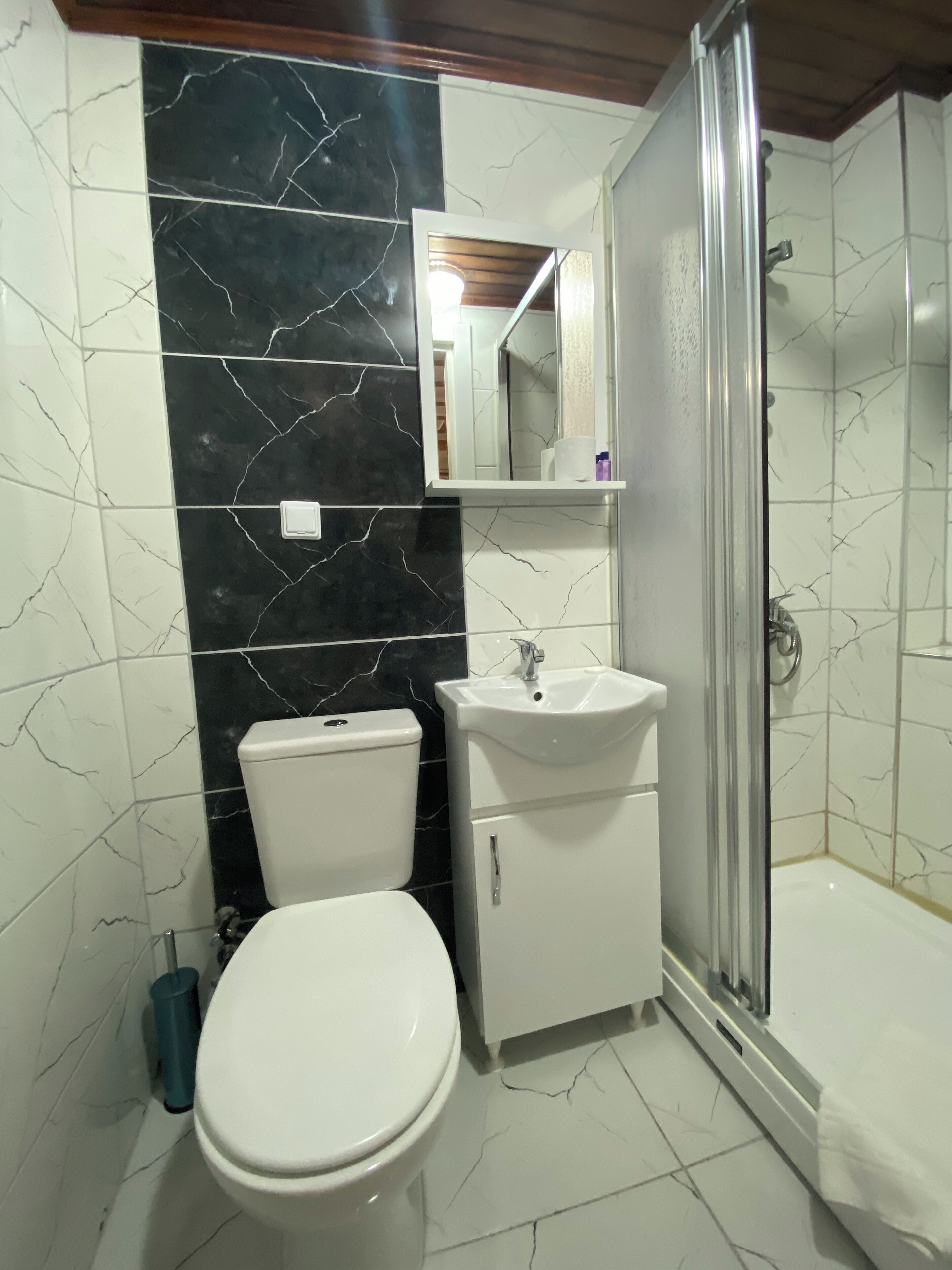Une salle de bain avec des toilettes, un lavabo et une douche.