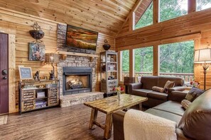 Flatscreentelevisie, een open haard en boeken