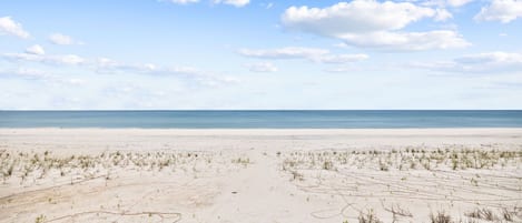 On the beach