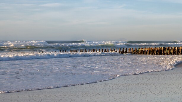 Ein Strand mit Wellen, einem hölzernen Wellenbrecher und einem klaren Himmel.