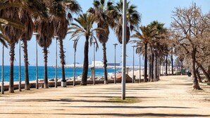 A coastal promenade with palm trees, a sandy path, and a view of the sea. - Xaro Beach Apartment – Bright Family Apartment 2 Minutes from the Beach (Canet de Mar)