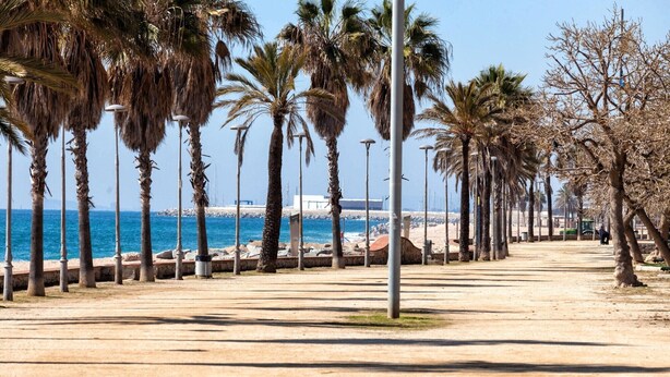 Un paseo marítimo con palmeras, un sendero arenoso y vistas al mar.