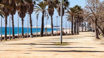 Playa en los alrededores