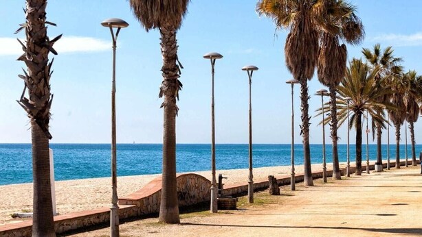 A coastal walkway lined with palm trees and street lamps, leading to a beach. - Apartment with Sea View, Terrace, and Beachfront Location (Canet  de mar)