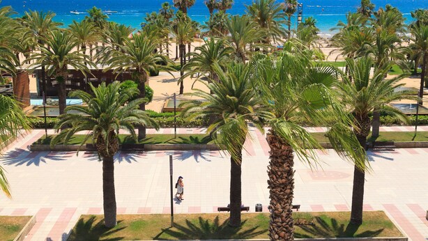 A beachside promenade with palm trees, a pedestrian walkway, and a view of the ocean. - Spectacular Apartment in the heart of Paseo Jaime I - UHC ANAGABU (Only families) (Salou)