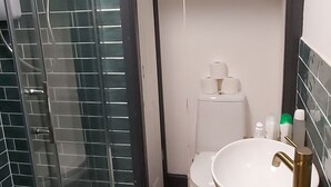 Ein Badezimmer mit einer einachig abgeschirmten Dusche, einem weißen Waschbecken mit Goldarmatur und einer Toilette.