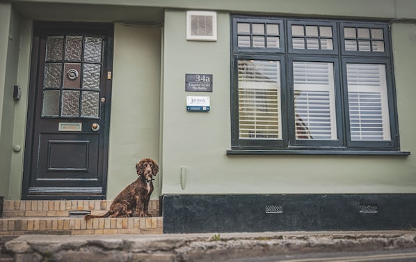 A dog sitting on the steps of a house with a black door and a window with blinds.