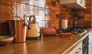 Fridge, oven, stovetop, dishwasher