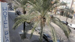 Señal de hotel con el nombre "HOTEL BLAUET" y una palmera en primer plano.