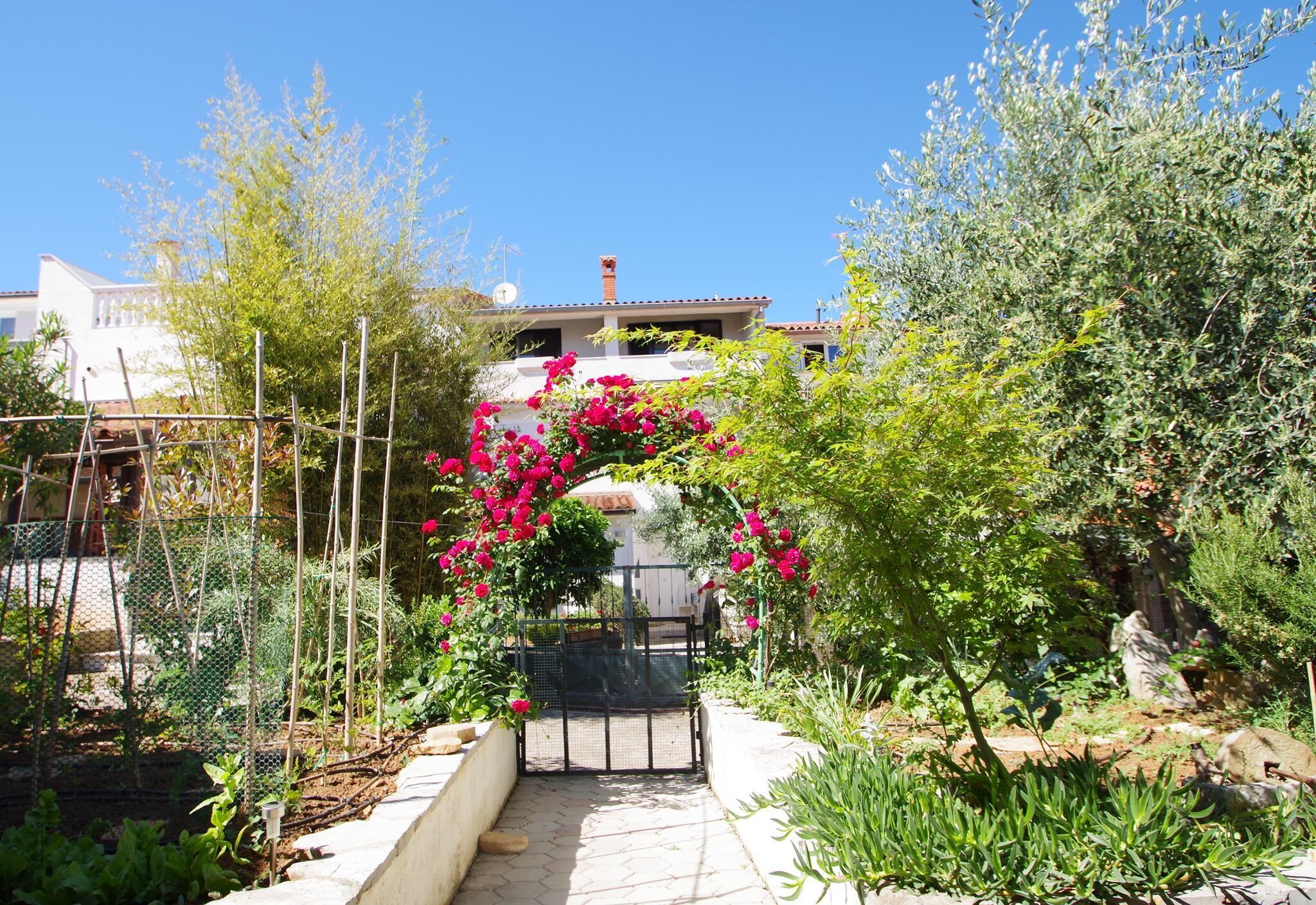 A garden with a pathway leading to a gate, surrounded by various plants and a fence.