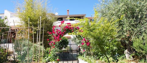 A garden with a pathway leading to a gate, surrounded by various plants and a fence.