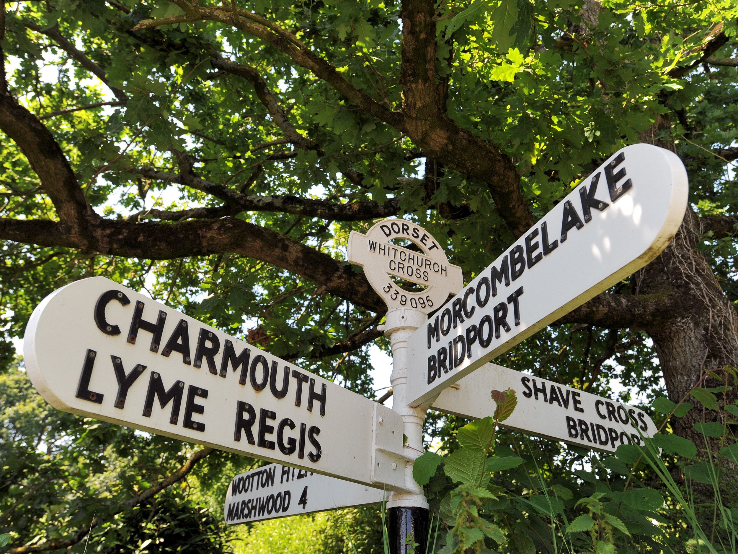 Een richtingswijzer met meerdere armen die naar verschillende bestemmingen wijzen, waaronder Charmouth, Lyme Regis, Morcombe Lake en Shave Cross Bridge.